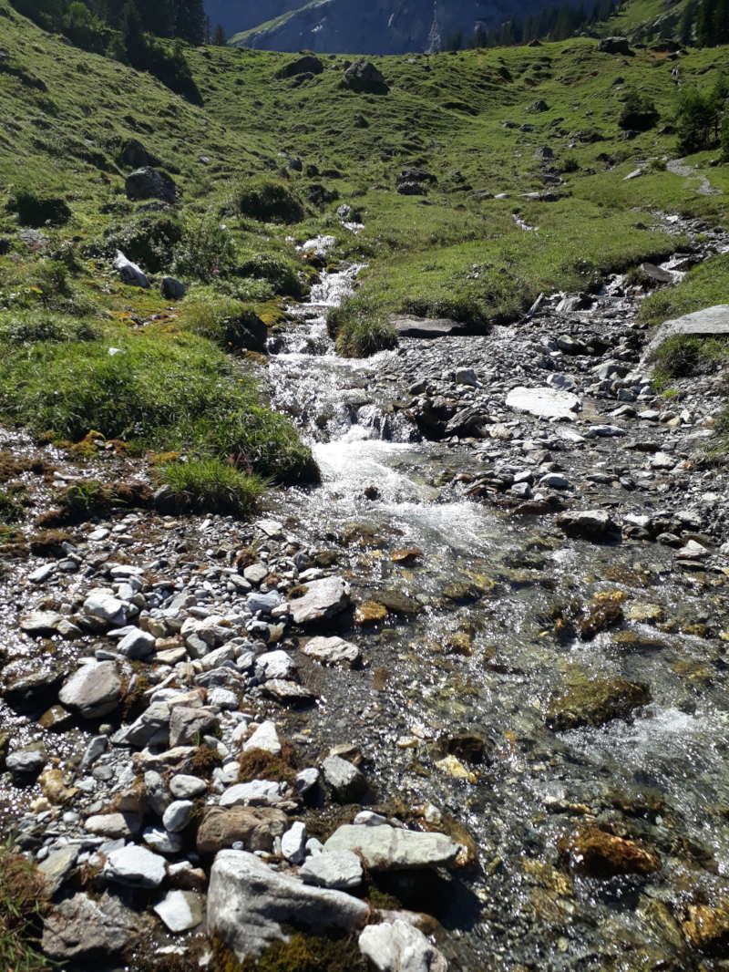 Hydrotherapie